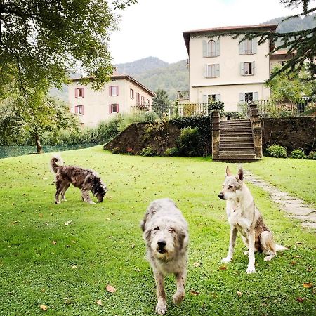 Alpe Del Lupo Hotel San Fedele Intelvi Exterior photo